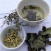tisane des beguines "none" les vergers de l'amélanche