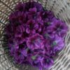 mauve pétales frais